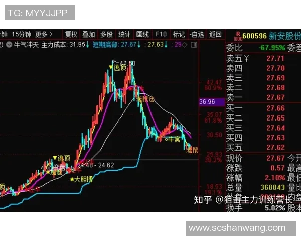美国与委内瑞拉精彩对决回放分析与赛后点评