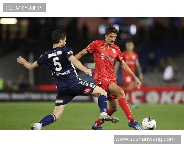 阿布扎比艾因迎战惠灵顿队期待精彩对决与激情碰撞