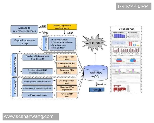 雷霆与骑士对决分析1月21日比赛数据全面解读